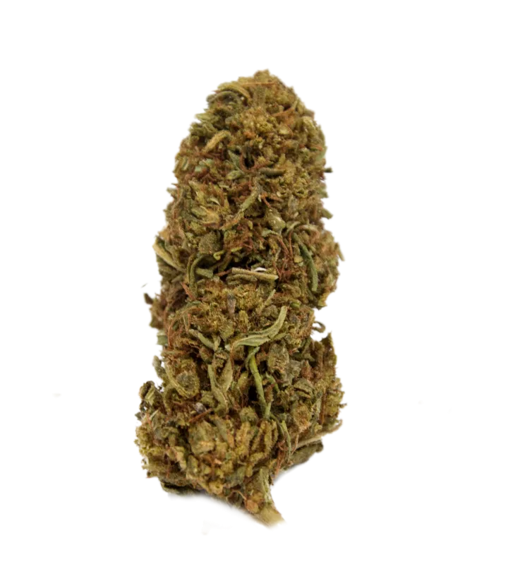 Gorilla Glue CBDV outdoor