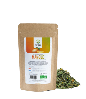 Infusion CBD mangue