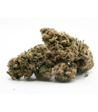 Amnesia CBD fleurs cbd qualite