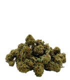 Harlequin small buds