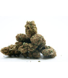 Gorilla Glue fleurs CBD