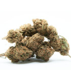 Fleurs CBD puissantes