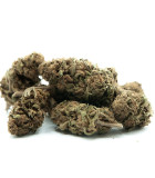 fleur cbd og kush outdoor