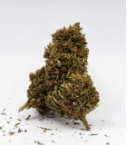 Fleur CBDV Gorilla Glue