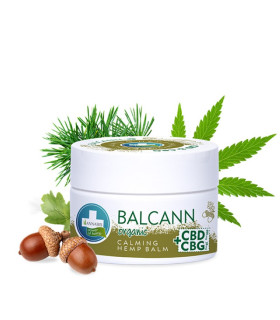 Crème visage CBD + CBG