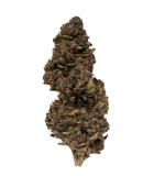 Dark Devil CBD fleur cbd purple