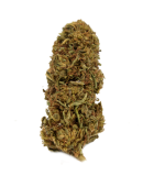 Gorilla Glue CBDV outdoor