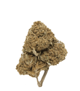 Fleur CBD Tangie