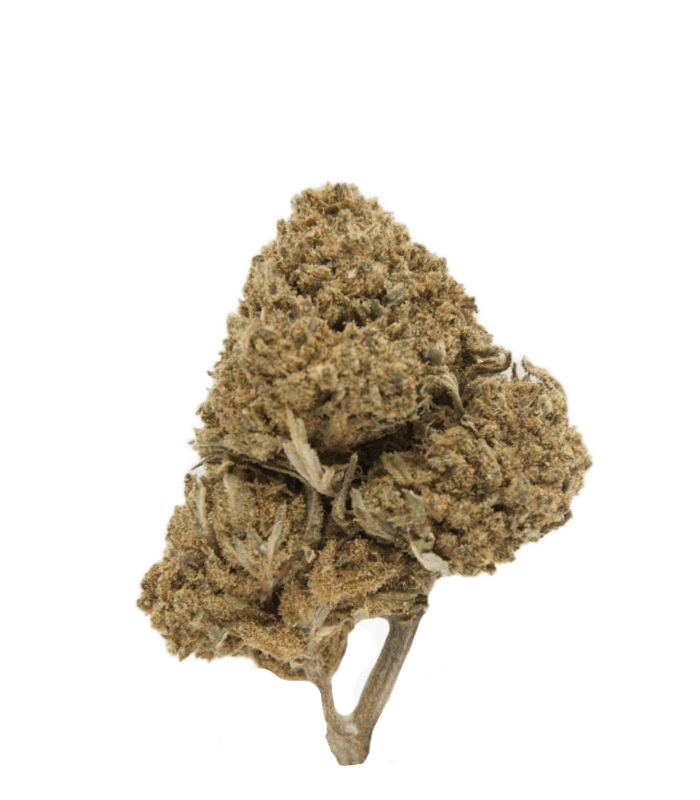 Fleur CBD Tangie