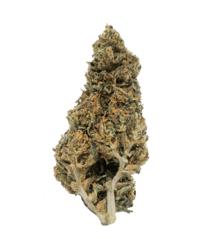 Mandarine Kush 9%