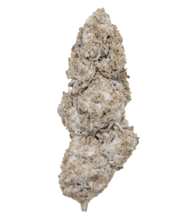 Fleur Ice rock 47% de CBD