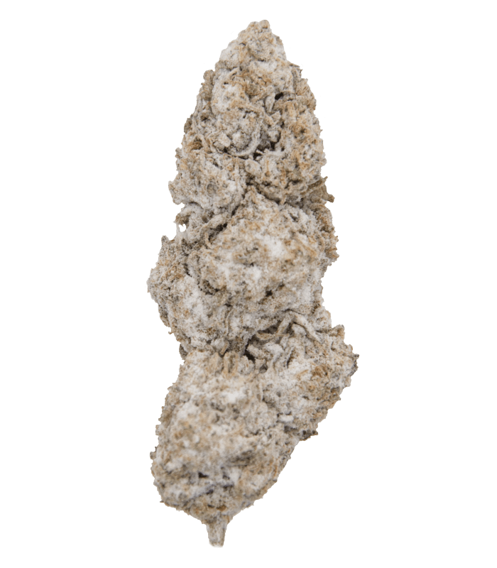 Fleur Ice rock 47% de CBD