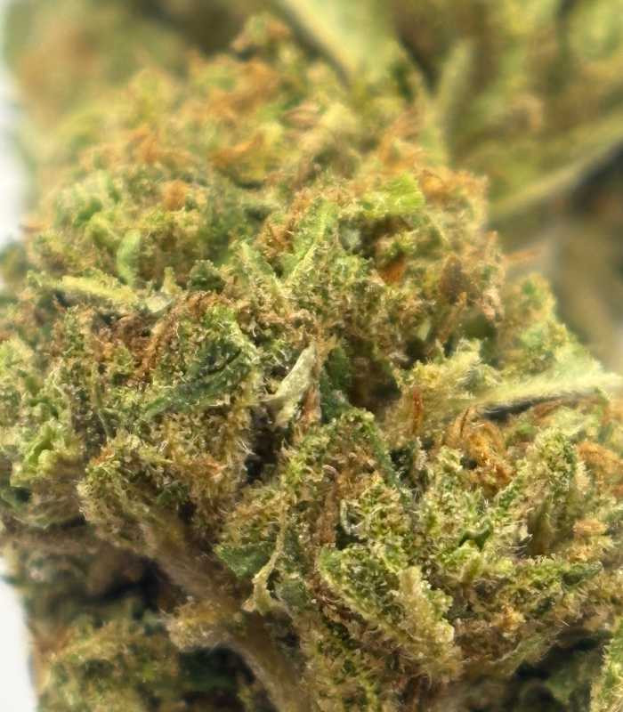 Image macro AK47 CBD