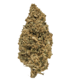 Fleur de CBD Sour Diesel