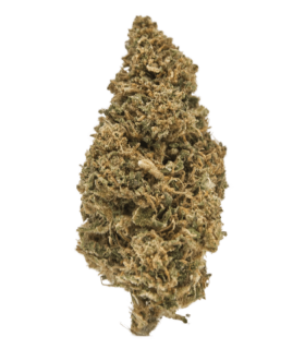 Fleur de CBD Sour Diesel