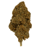 Fleur de CBD Harlequin