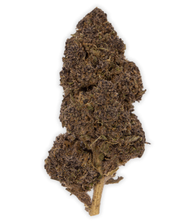 Fleur CBD purple punch