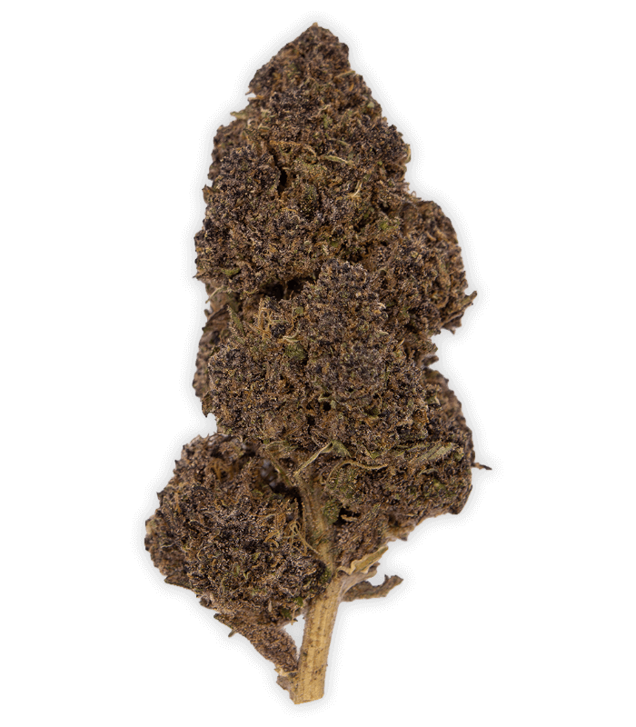 Fleur CBD purple punch