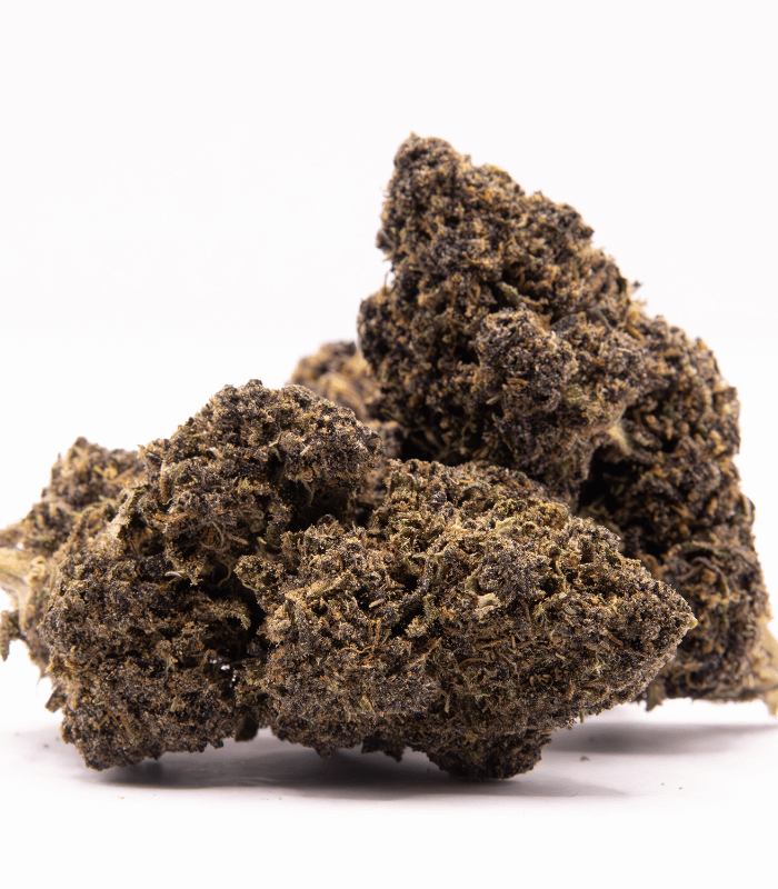 Purple punch Glasshouse