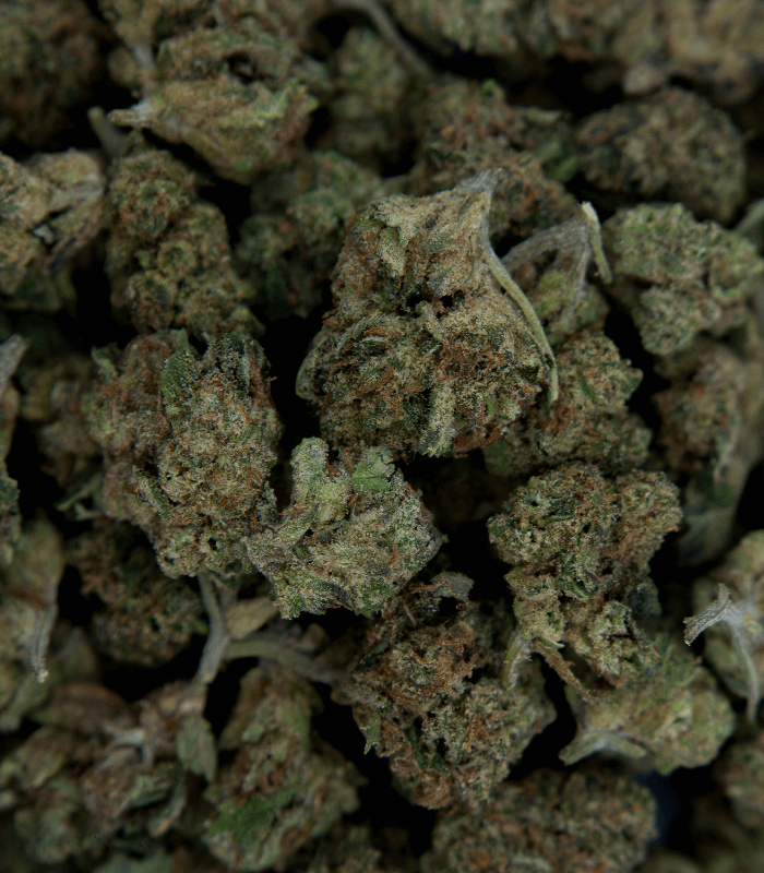 Zoom sur la flaur fruit cake