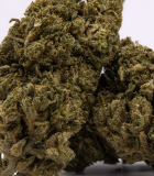 Zoom sur l'amnesia CBD