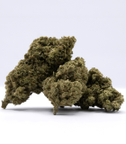 Fleur amnesia avec son sachet