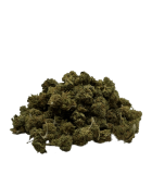 Orange bud Small buds