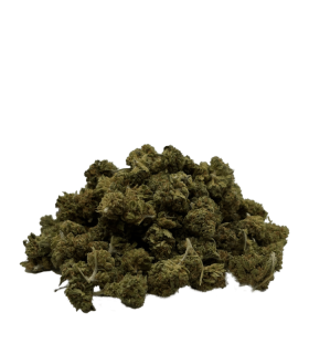 Orange bud Small buds