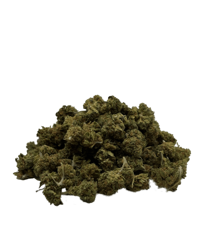 Orange bud Small buds