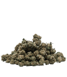 Fleurs Jack Herer Small bud