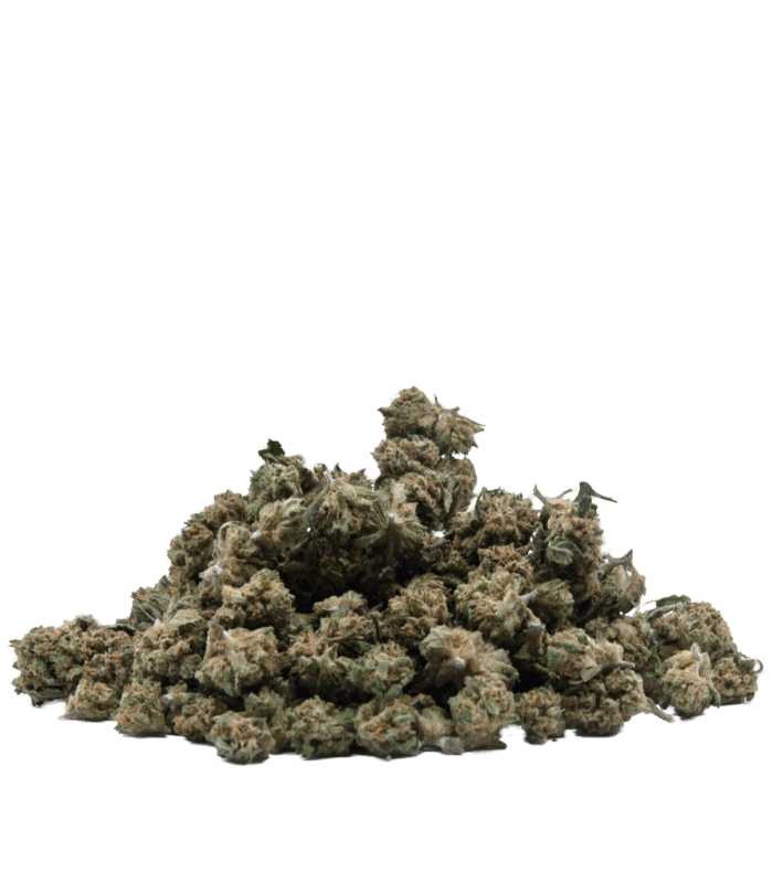 Fleurs Jack Herer Small bud