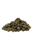 Fleurs Gelato Small buds