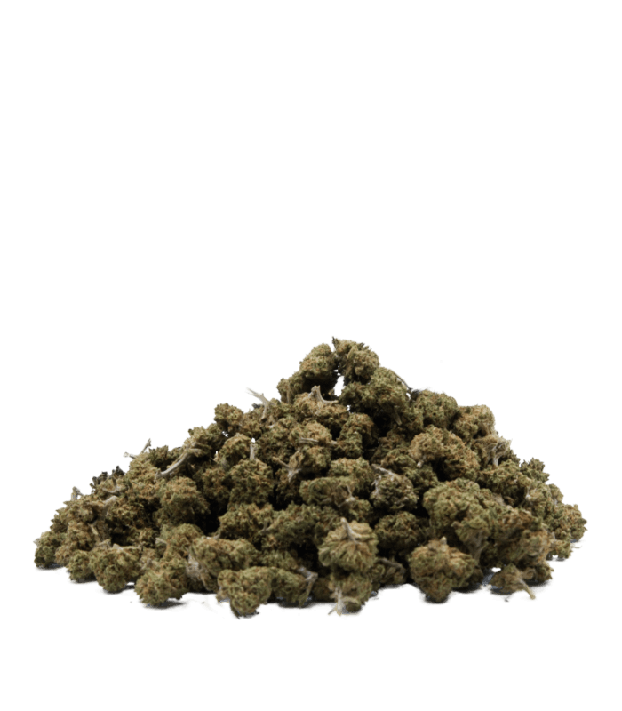 Fleurs Gelato Small buds