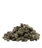 Fleurs Critical small buds