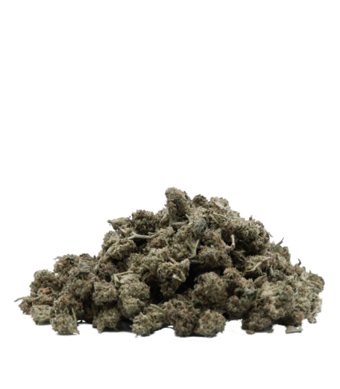 Fleurs Critical small buds