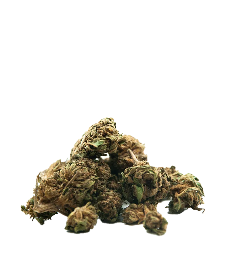Cannatonic Small bud
