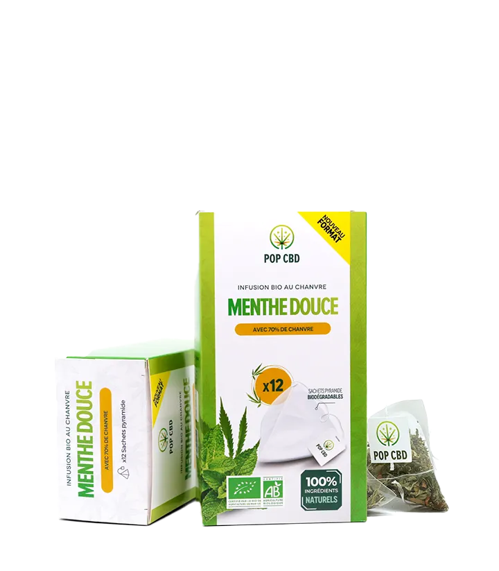 Sachets infusion menthe 70% chanvre