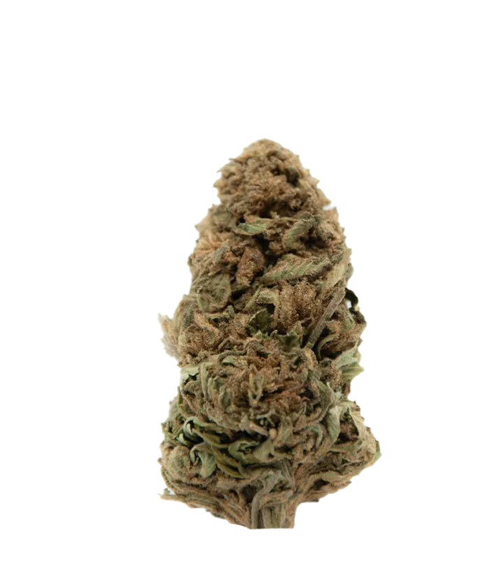 OG Kush