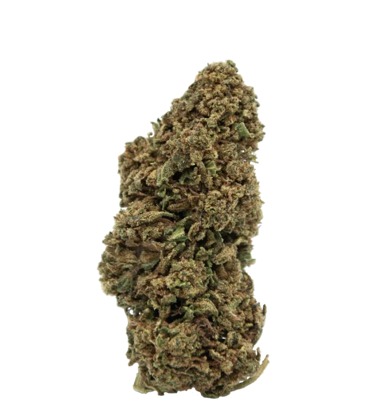 Tête entière de fleur CBD Bubble Gum : bourgeon vert aux pistils orange
discrets