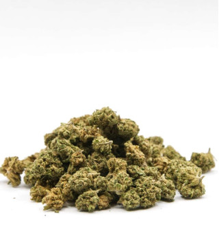 Bubble Gum pop corn - Fleur small bud riche en CBD