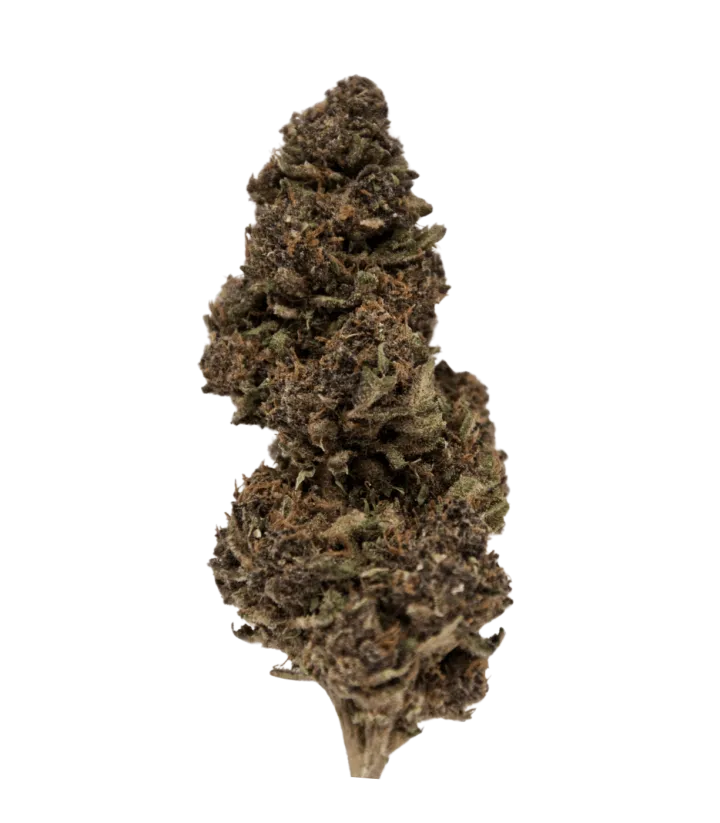 Dark Devil CBD fleur cbd purple