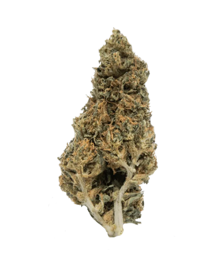 Mandarine Kush 9%