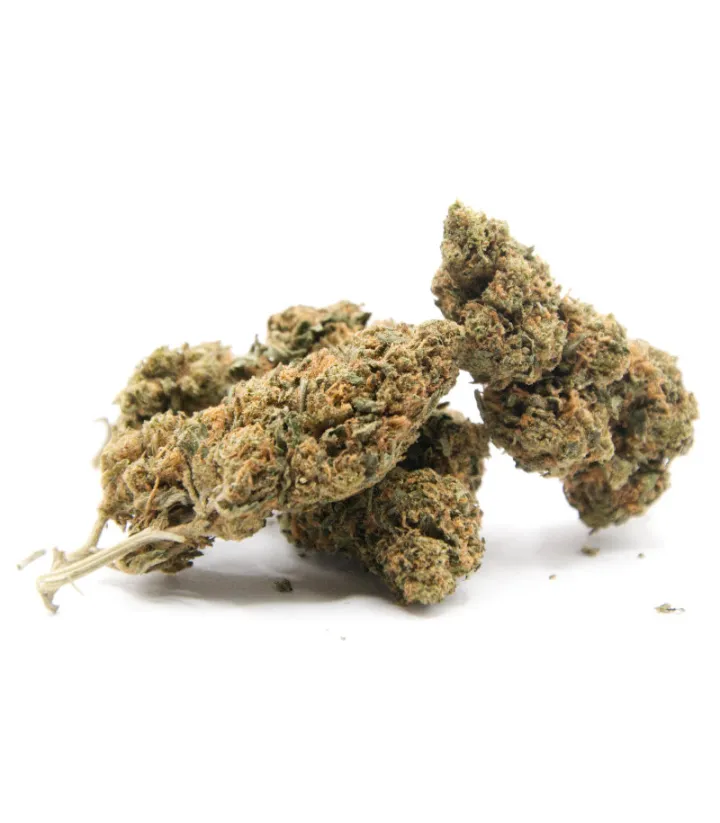 Mandarine Kush 9% - vente de fleurs CBD