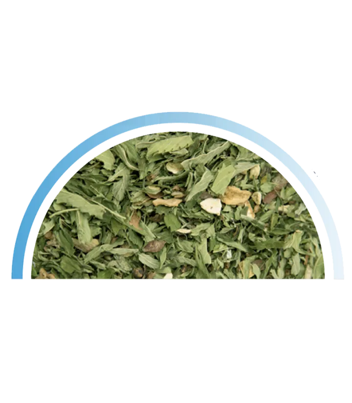 Infusion CBD cool et Relax  sachet