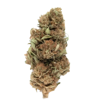 Fleur Super Sylver Haze CBD - Vente de cannabis thérapeutique