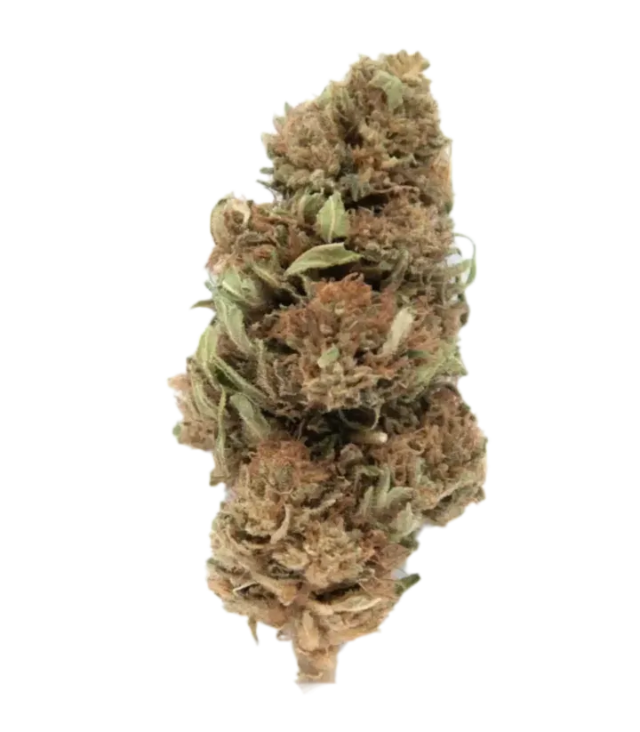 Fleur Super Sylver Haze CBD - Vente de cannabis thérapeutique