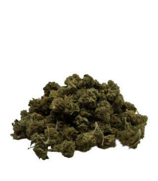 Orange bud Small buds