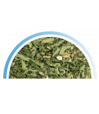 Infusion CBD cool et Relax  sachet