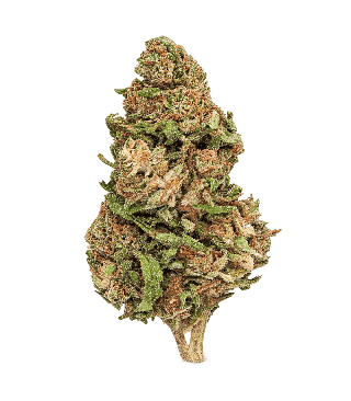 Gorilla Glue CBD