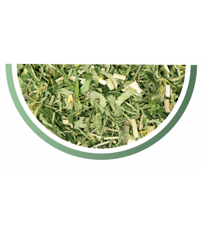 Thé vert Pop CBD détail